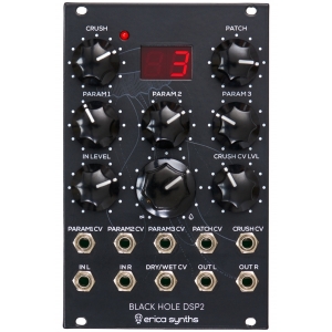 Erica Synths Black Hole DSP2 B-stock